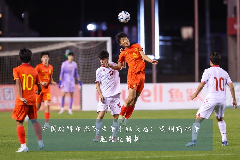 中国对阵印尼队力争小组头名:汤姆斯杯争胜路径解析